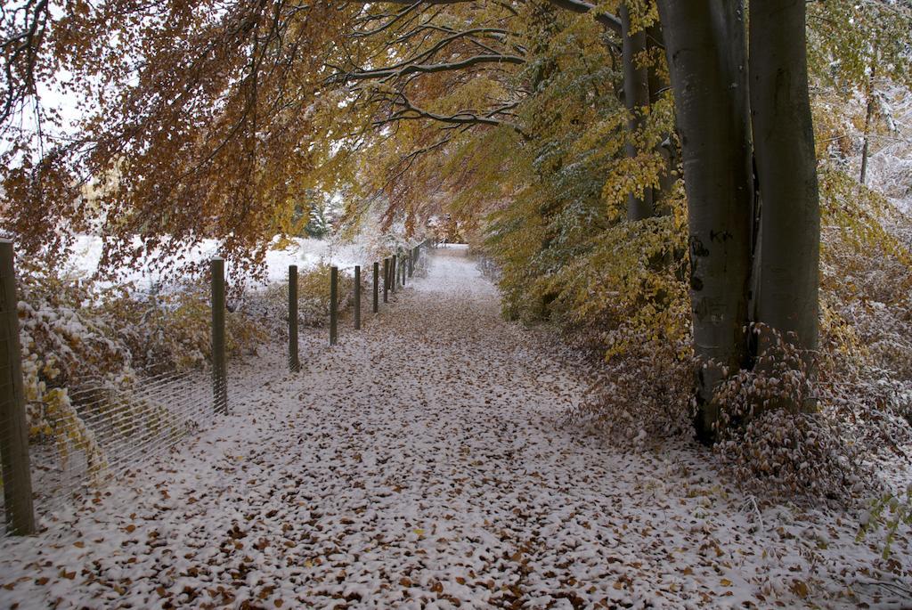 Gasthof Jaegerheim Birgland Exterior foto