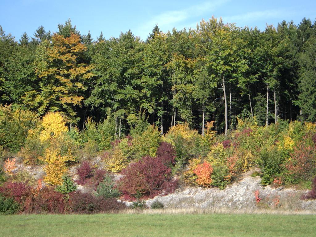 Gasthof Jaegerheim Birgland Exterior foto